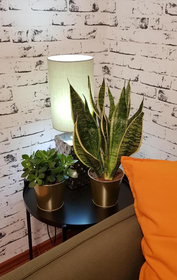 Apartman I Studio Apartman Majoli Kukuljanovo Zewnętrze zdjęcie